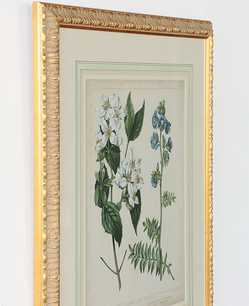 Cottage Florals I 27W x 31H - Cleared Art