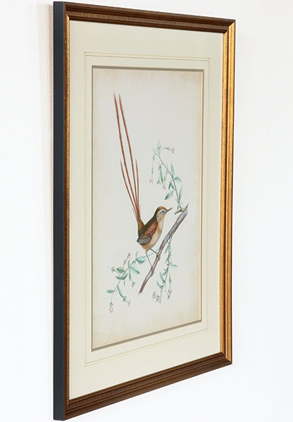 Delicate Birds I 21.75W x 26H - Cleared Art
