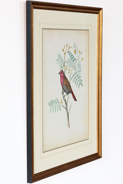 Delicate Birds II 21.75W x 26H - Cleared Art
