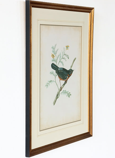 Delicate Birds III 21.75W x 26H - Cleared Art