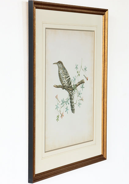 Delicate Birds IV 21.75W x 26H - Cleared Art