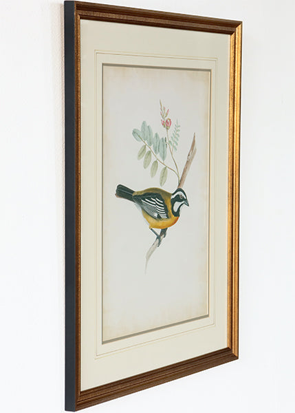 Delicate Birds V 21.75W x 26H - Cleared Art