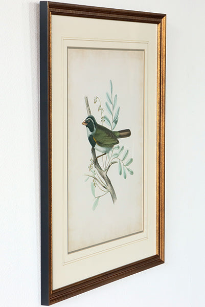Delicate Birds VI 21.75W x 26H - Cleared Art