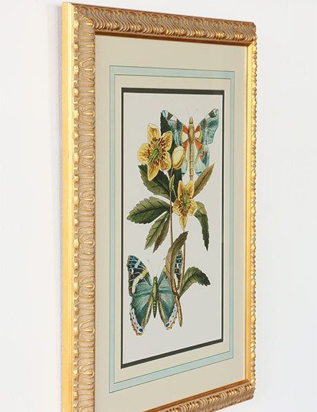 Butterfly Oasis III 22W x 27H - Cleared Art