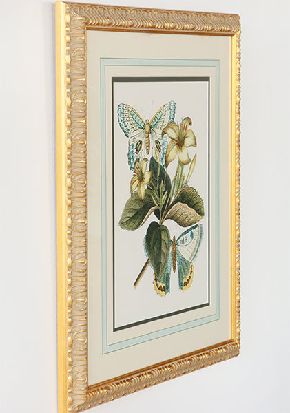 Butterfly Oasis IV 22W x 27H - Cleared Art