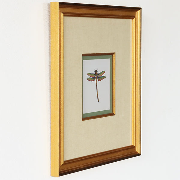 Miniature Dragonfly I 18.5W x 18.5H - Cleared Art