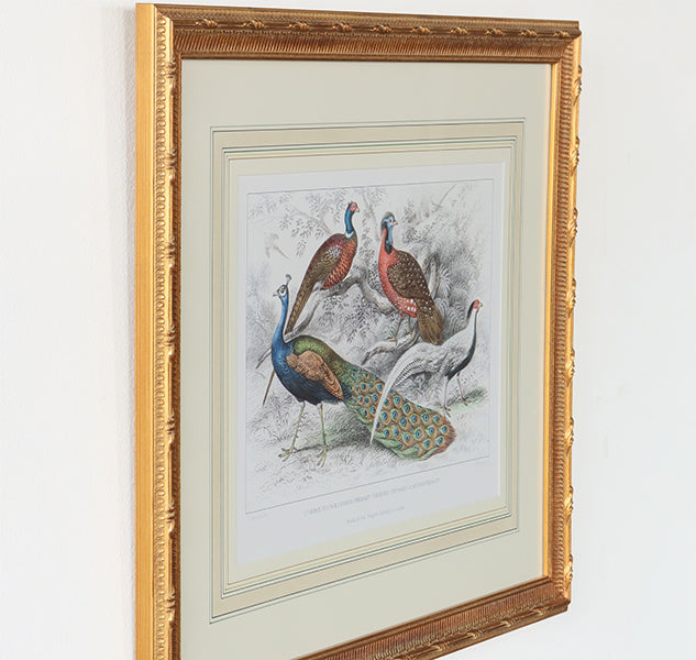 Peacock & Pheasants 27.25W x 22H - Cleared Art