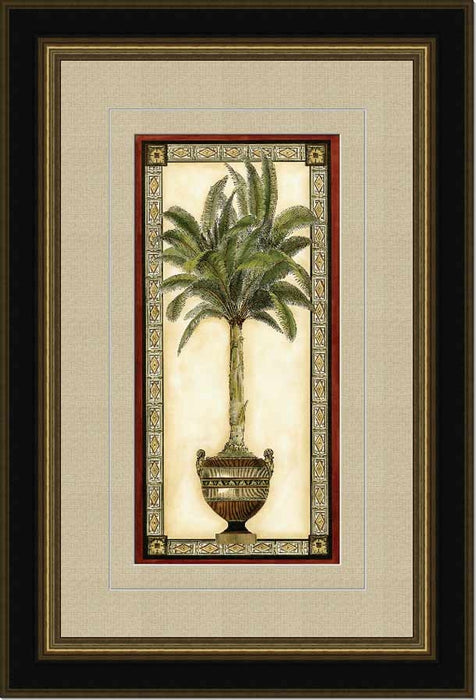 Red Bordered Palm Series