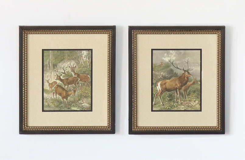 Small Deer Series (Set of 2) 16W x 18H