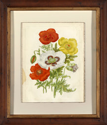 STILL406 Antique Crackled Wild Flower I 7