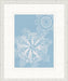 STILL760 Graphic Ocean Collection 2