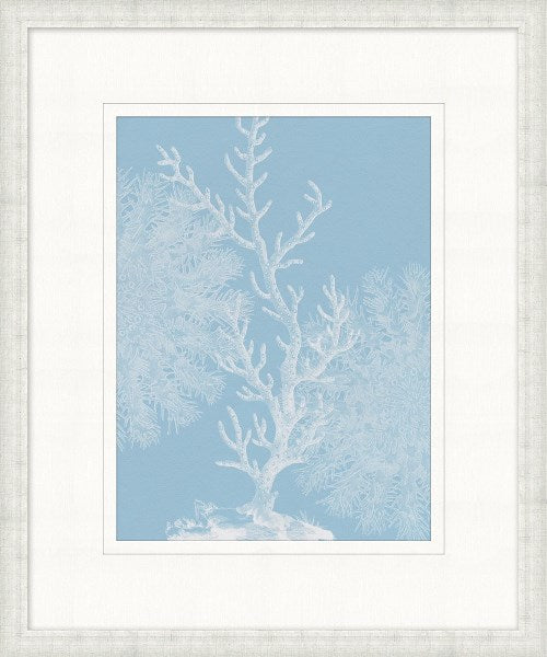 STILL762 Graphic Ocean Collection 4