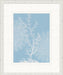 STILL762 Graphic Ocean Collection 4