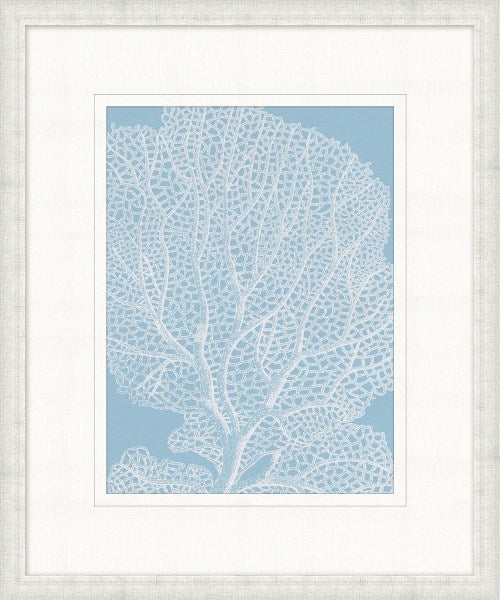 STILL763 Graphic Ocean Collection 5