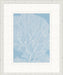 STILL763 Graphic Ocean Collection 5