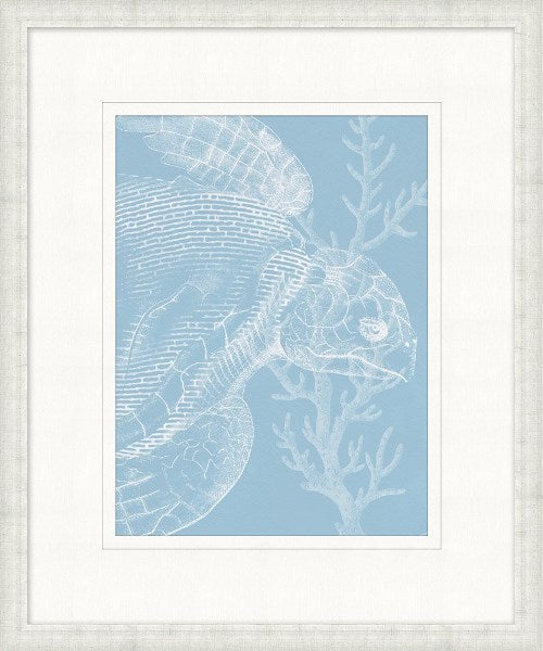 STILL764 Graphic Ocean Collection