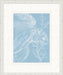 STILL764 Graphic Ocean Collection