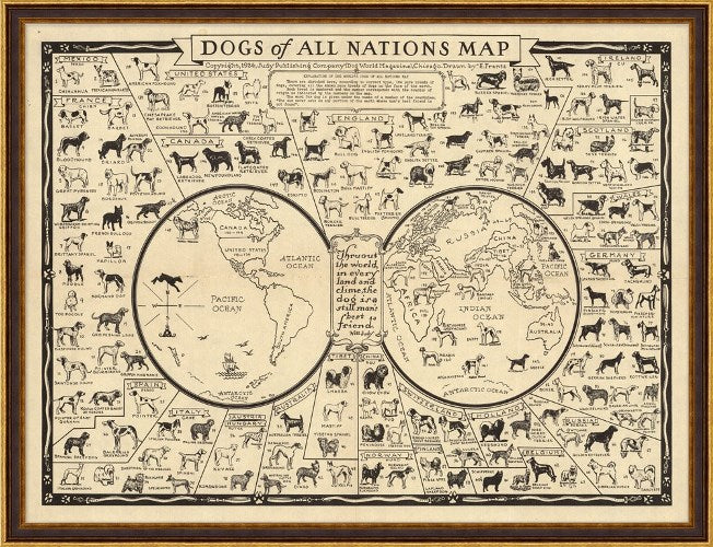 STILL775 Dogs Of All Nations Map 43W x 33H