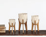 SVS120 Set of 3 Ella Elaine Amara Vases on Wood Stands