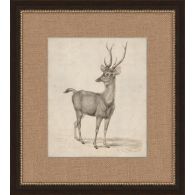 Antique Lone Deer 17.5W x 19.5H