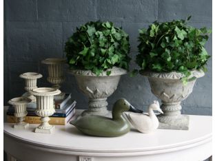 Curly Ivy Bush with Urn