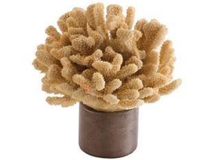 Malaya Coral Sculpture - Cleared Décor
