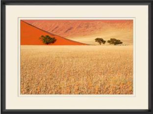 Namib Desert I 32W x 24H