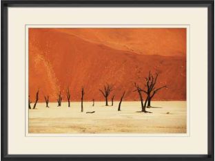 Namib Desert IV 32W x 24H