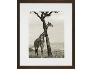 Shaded Giraffe 22W x 26H