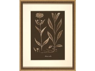 Sepia Leaves on Chocolate IV 22W x 28H