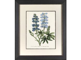 Blue Botanical III 29W x 34H