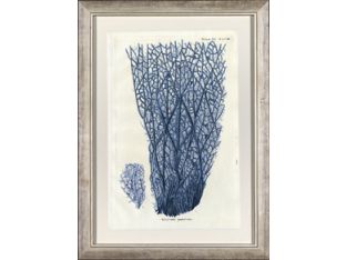 Vertical Blue Coral I 26W x 35H
