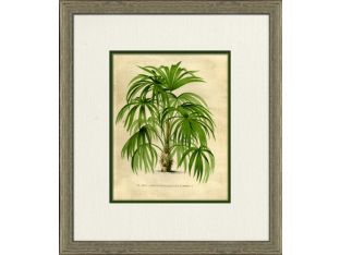 Small Island Palm I 16W x 18H