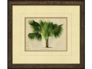 Small Crackled Horizontal Palm III 17.5W x 15.5H