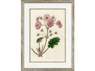 Medium Antique Blush Floral I 32W x 24H