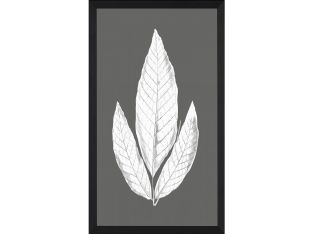 Charcoal Leaves 1 (Set of 2) 15.5W x 25.5H