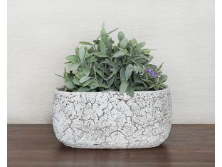 Small Off White Oval Cement Pot