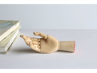Articulated Model Hand