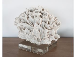 Coral Sculpture on Glass