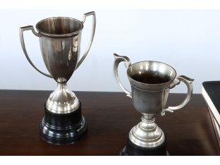 Set of 2 Trophies - Cleared Decor
