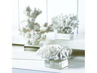 Set of 3 White Coral Sculptures - Cleared Décor