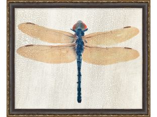Dragonfly 1 22W X 18H