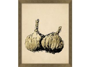 Sketched Garlic 12W X 15H