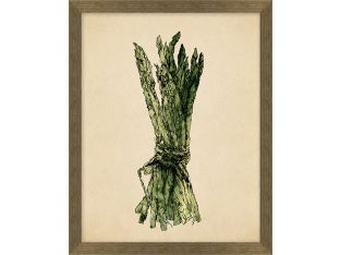 Sketched Asparagus 12W X 15H