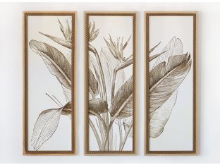Bird of Paradise Triptych Series (Set of 3) 15W x 39H