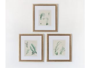Teal Ocean Collection III (Set of 3) 15W x 18H