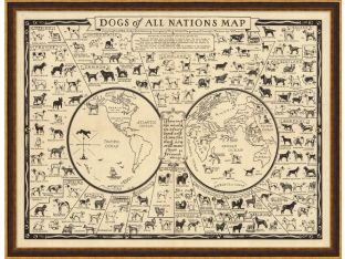 Dogs Of All Nations Map 43W x 33H