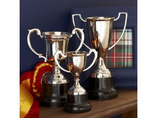 Set of 3 Trophies - Cleared Décor