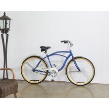 Blue Beach House Bike
