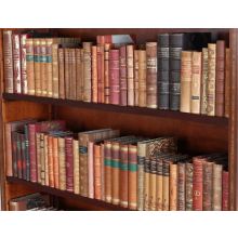 Set of 12 Antique Leather Bound Books